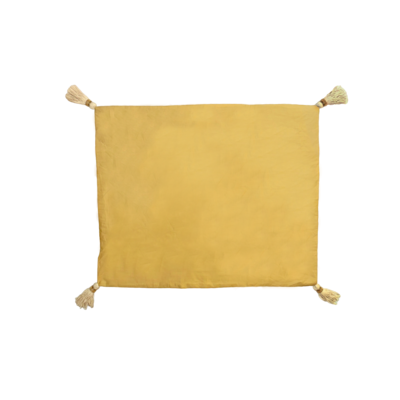 LEO Tassel Pillow Case