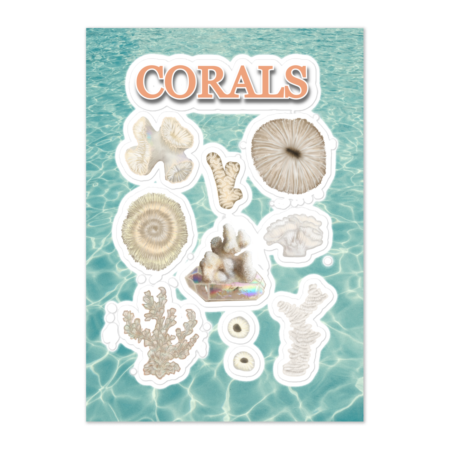 CORALS Kiss Cut Sticker Sheet