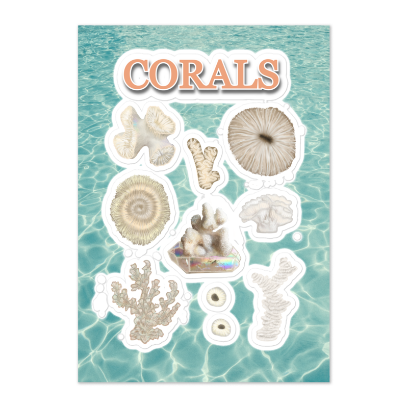 CORALS Kiss Cut Sticker Sheet