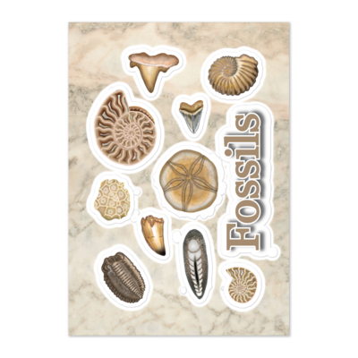 FOSSILS Kiss Cut Sticker Sheet