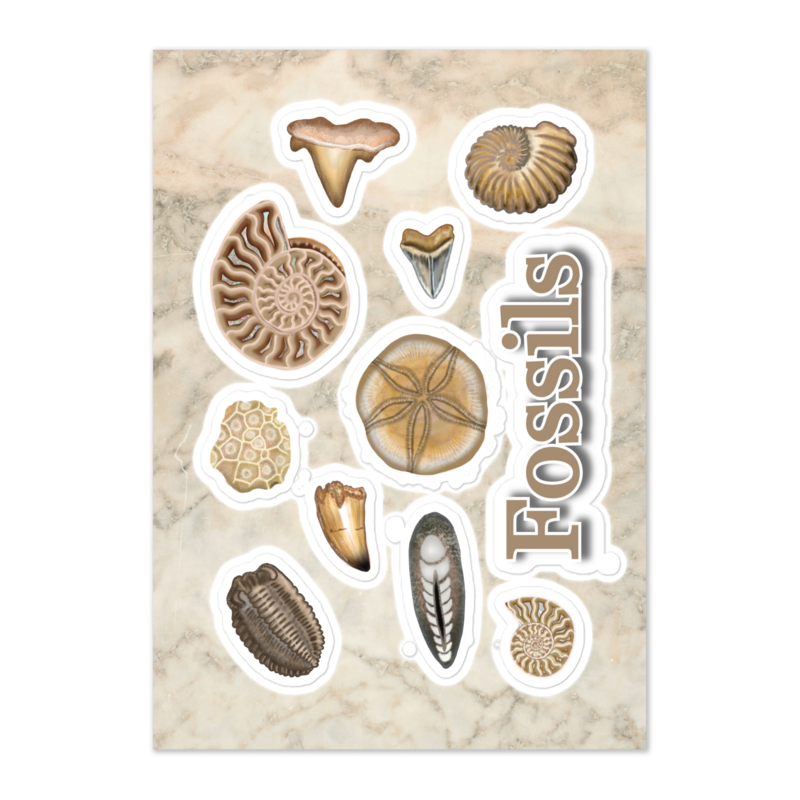 FOSSILS Kiss Cut Sticker Sheet