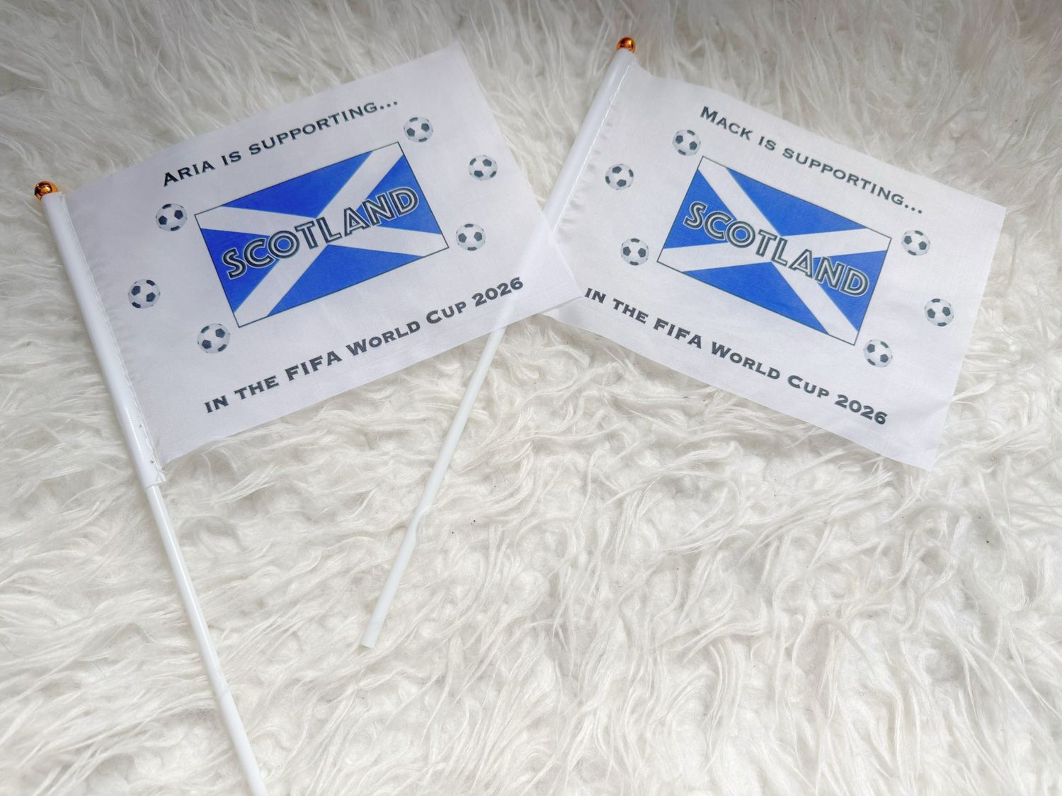 Scotland World Cup (Flag)