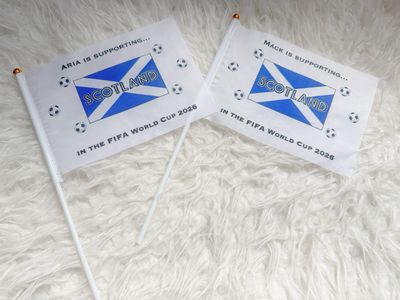 Scotland World Cup (Flag)
