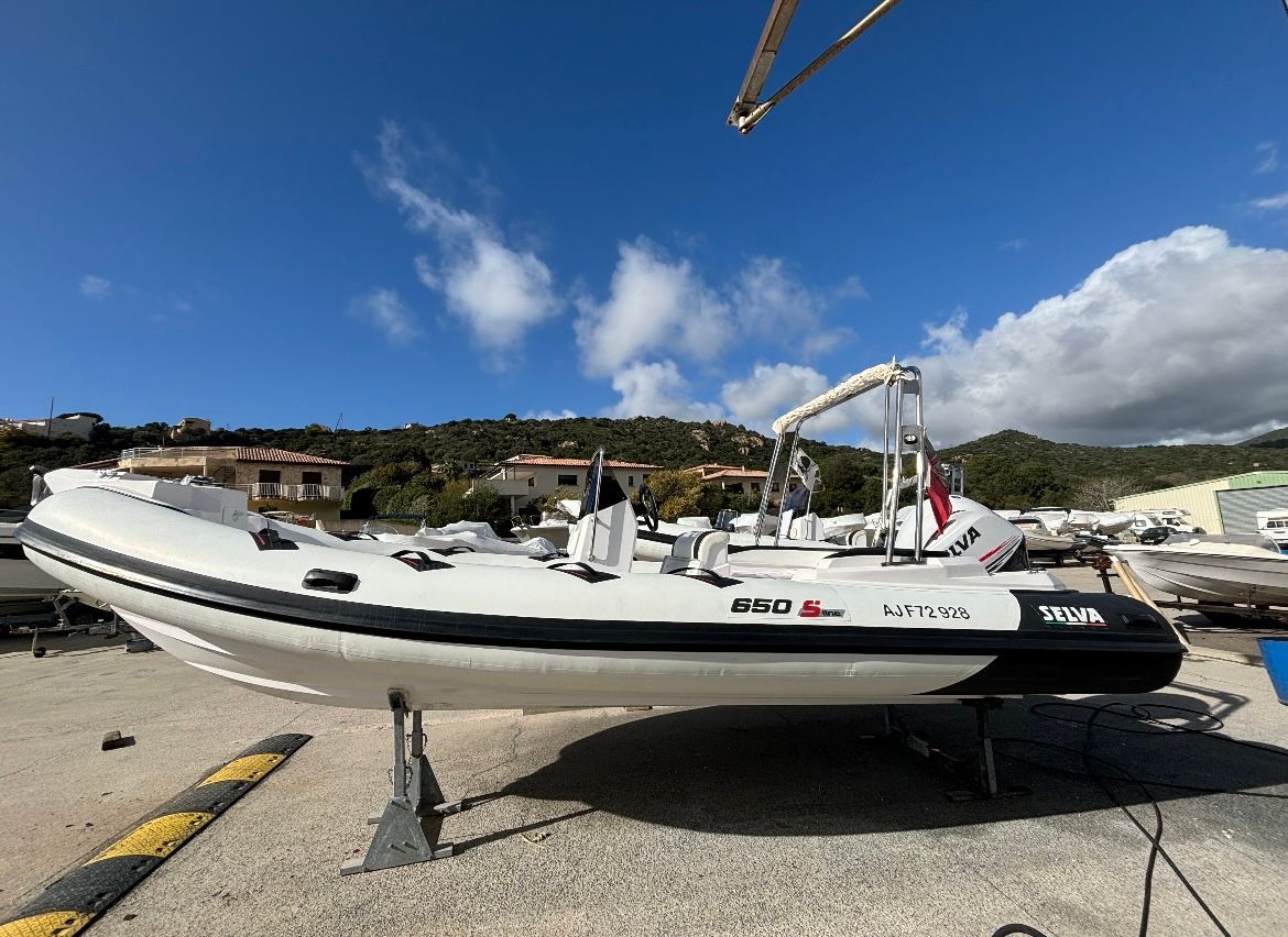 Selva 650 Family - Moteur Selva 150
