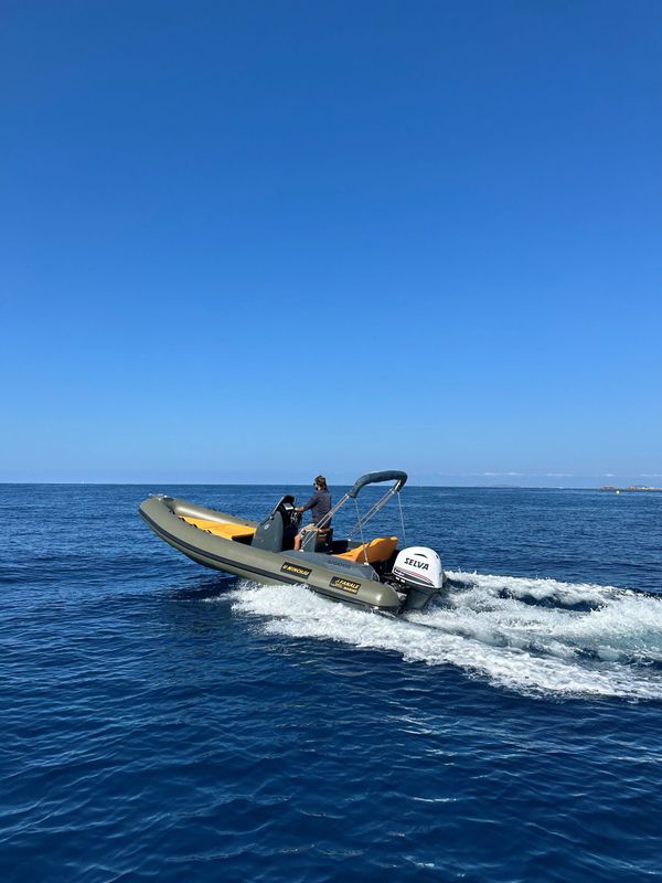 Fanale Marine 620 Moteur Selva 115