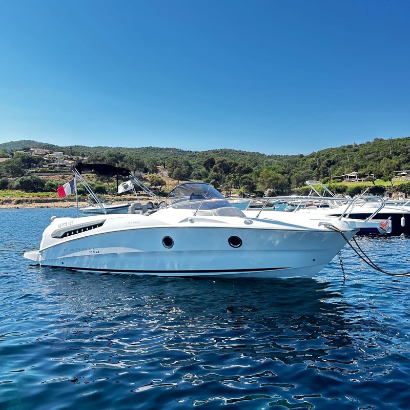 Karnic SL702 - Moteur Selva 225