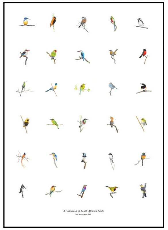 Bird Print: Mounted A3