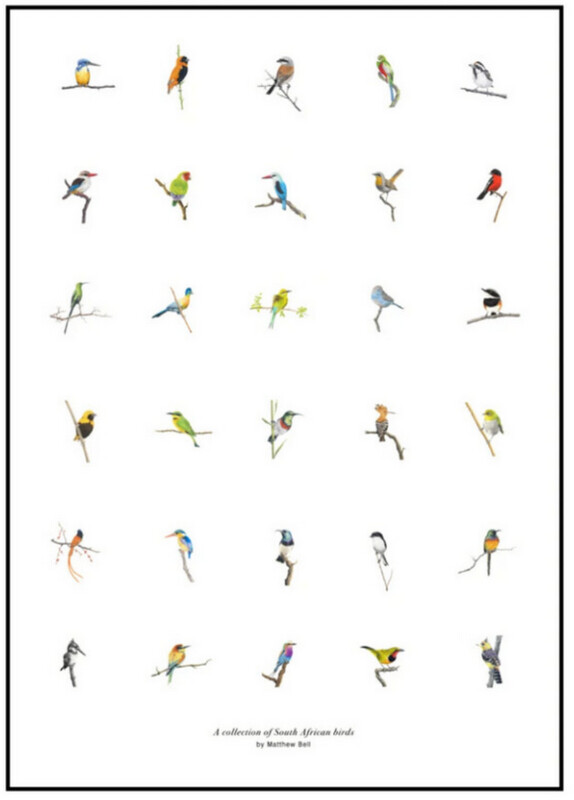 Bird Print: Mounted A2