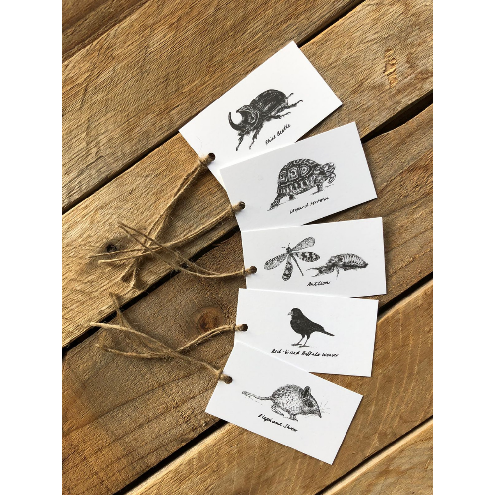 &#39;Little 5&#39; Gift tag pack of 10