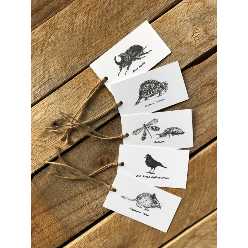 'Little 5' Gift tag pack of 10