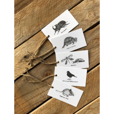 'Little 5' Gift tag pack of 10