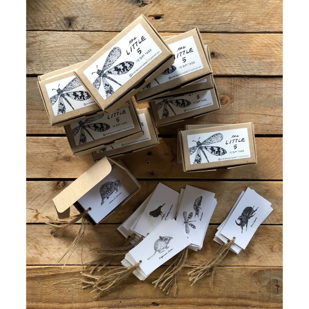 &#39;Little 5&#39; Gift tag pack of 10