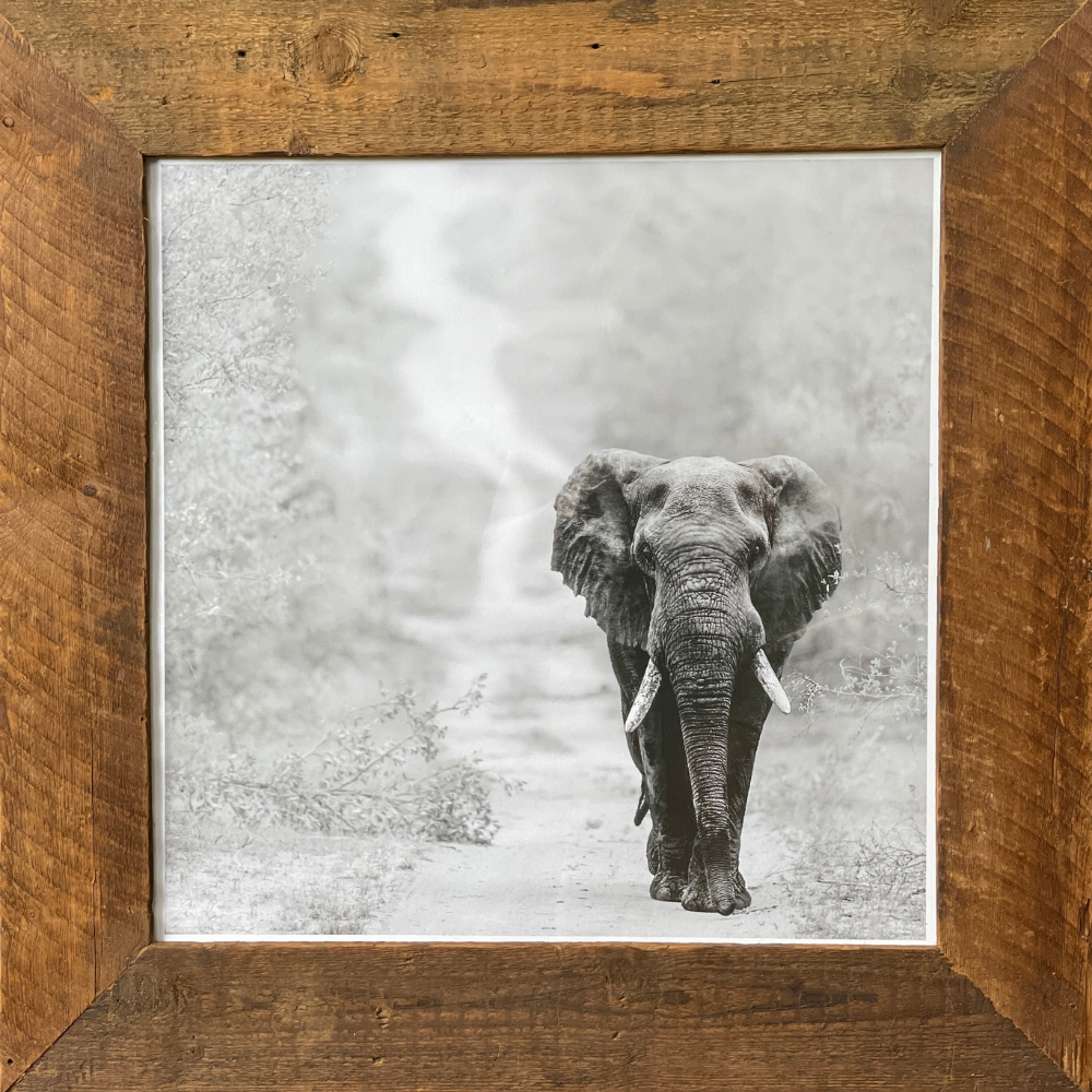 Elephant Print: Direction
