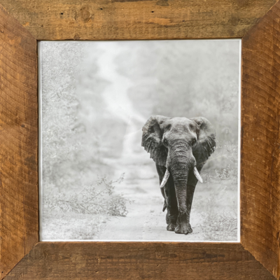Elephant Print: Direction