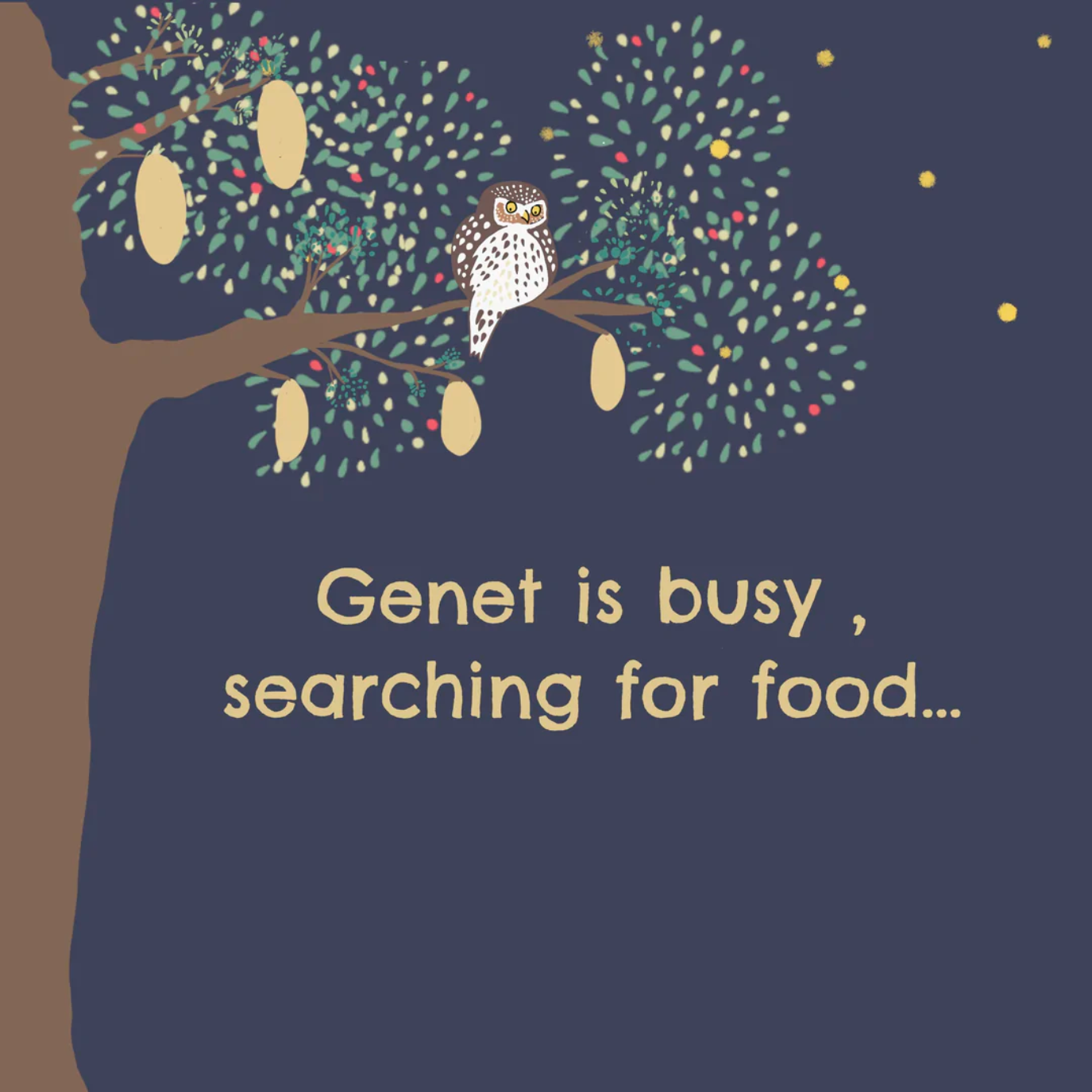 Book: It&#39;s Bedtime in the Bushveld