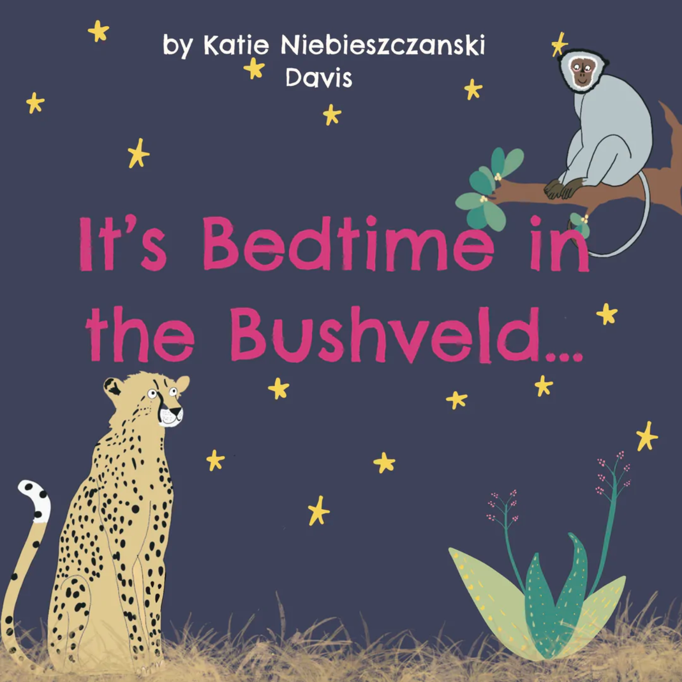 Book: It&#39;s Bedtime in the Bushveld