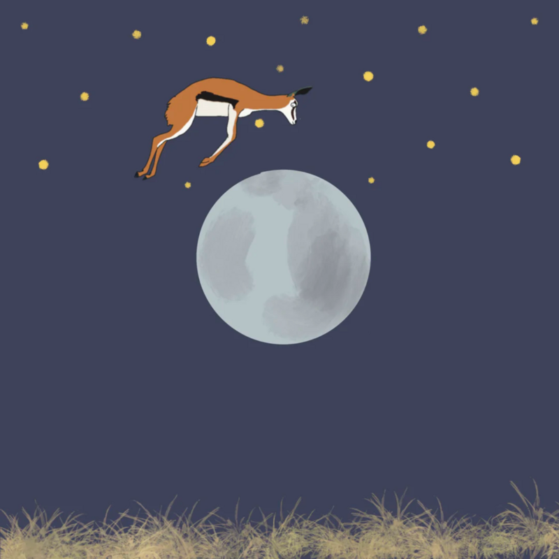 Book: It's Bedtime in the Bushveld