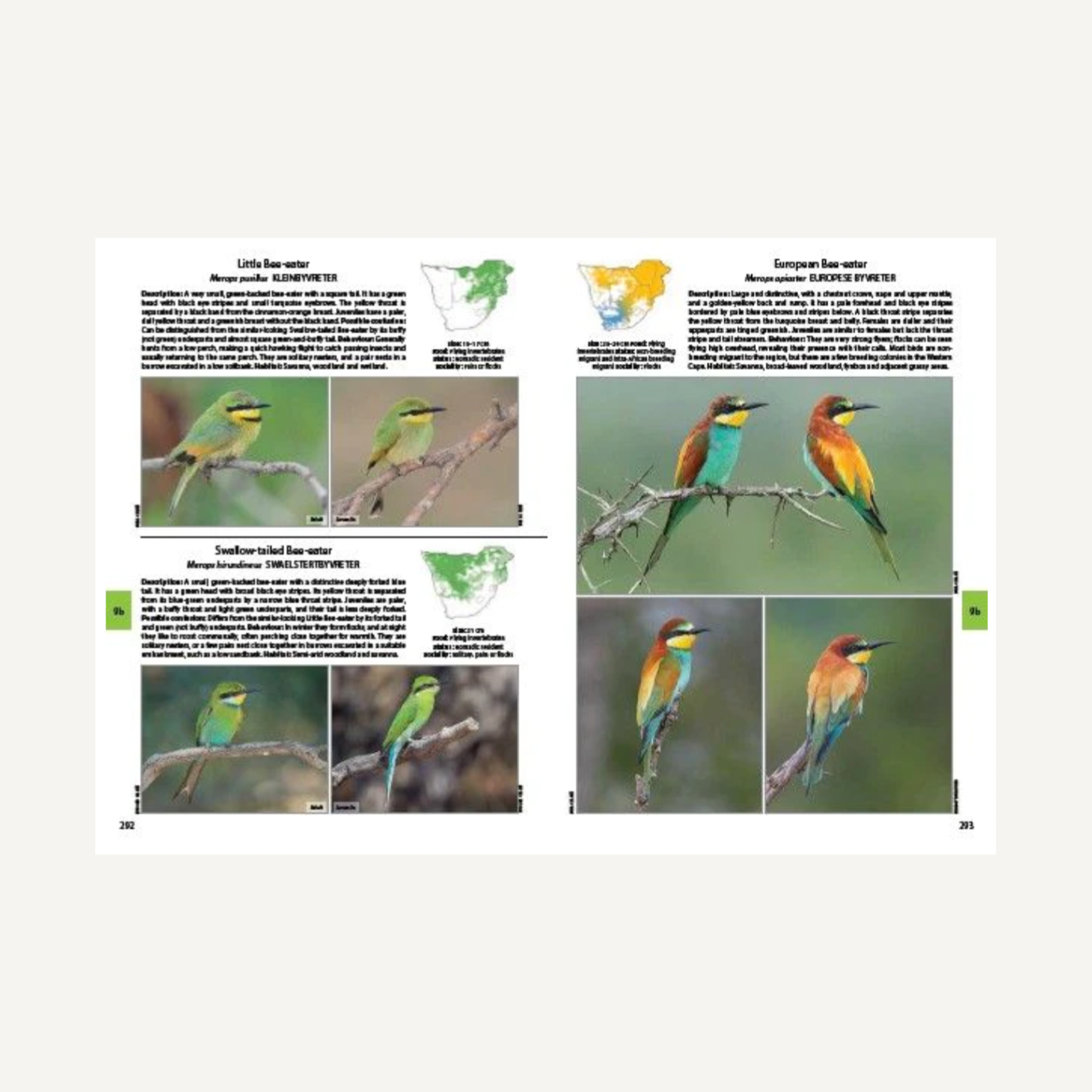Veld Birds of Southern Africa