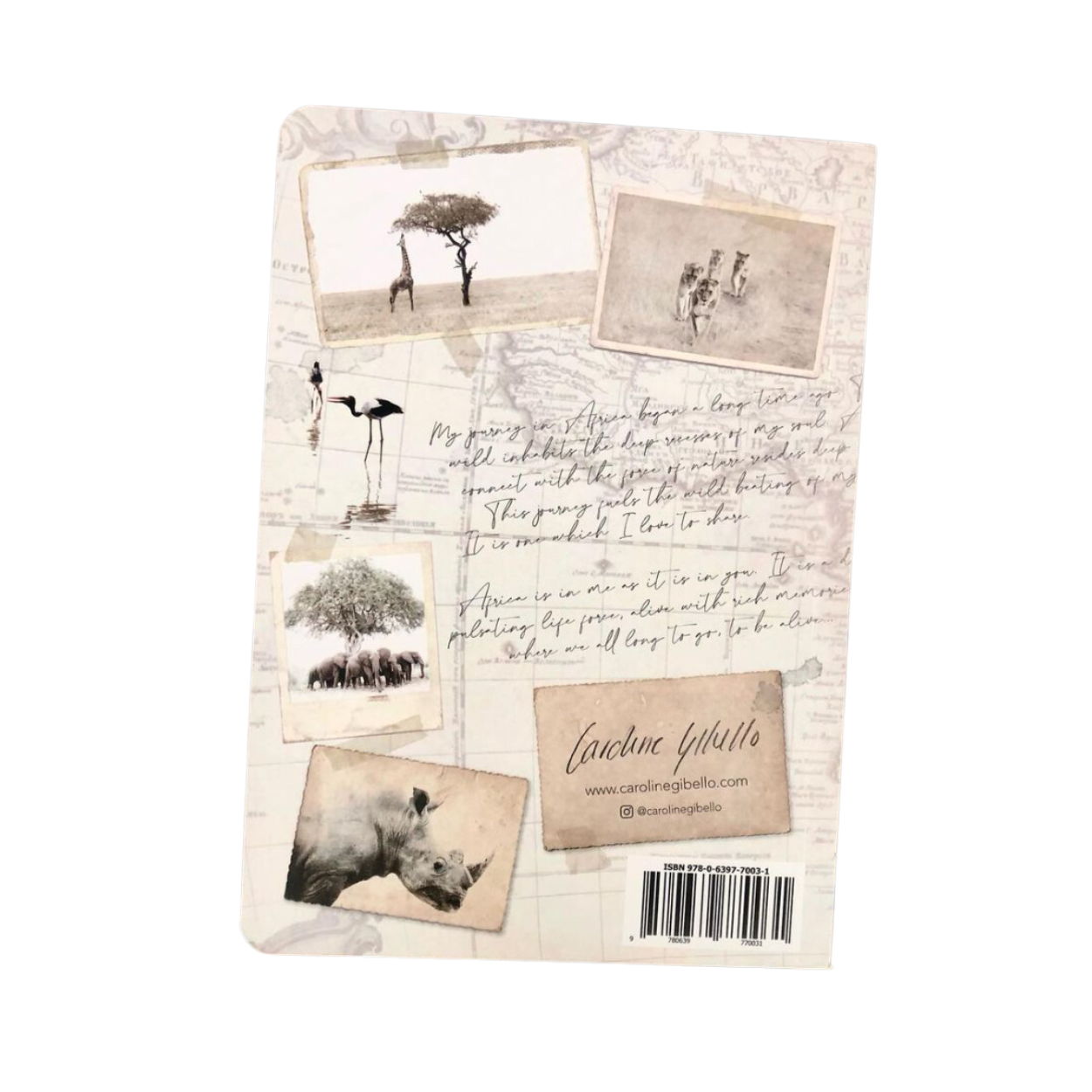African Journals