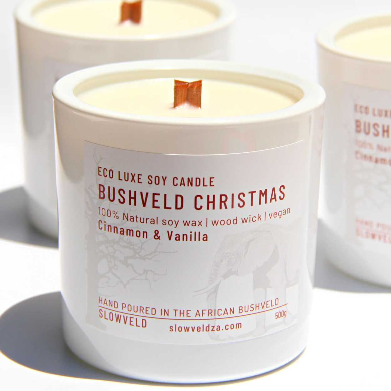 Bushveld Christmas Candles