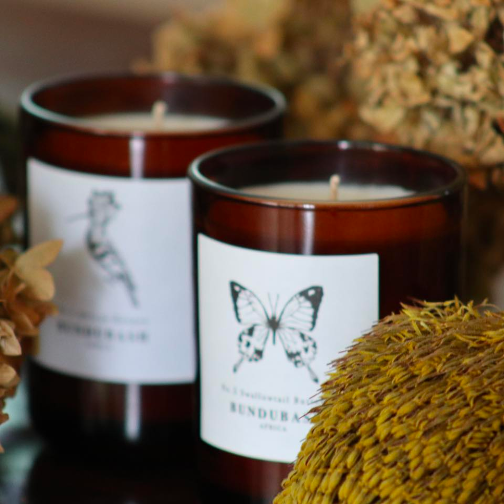 Swallowtail Butterfly Candle