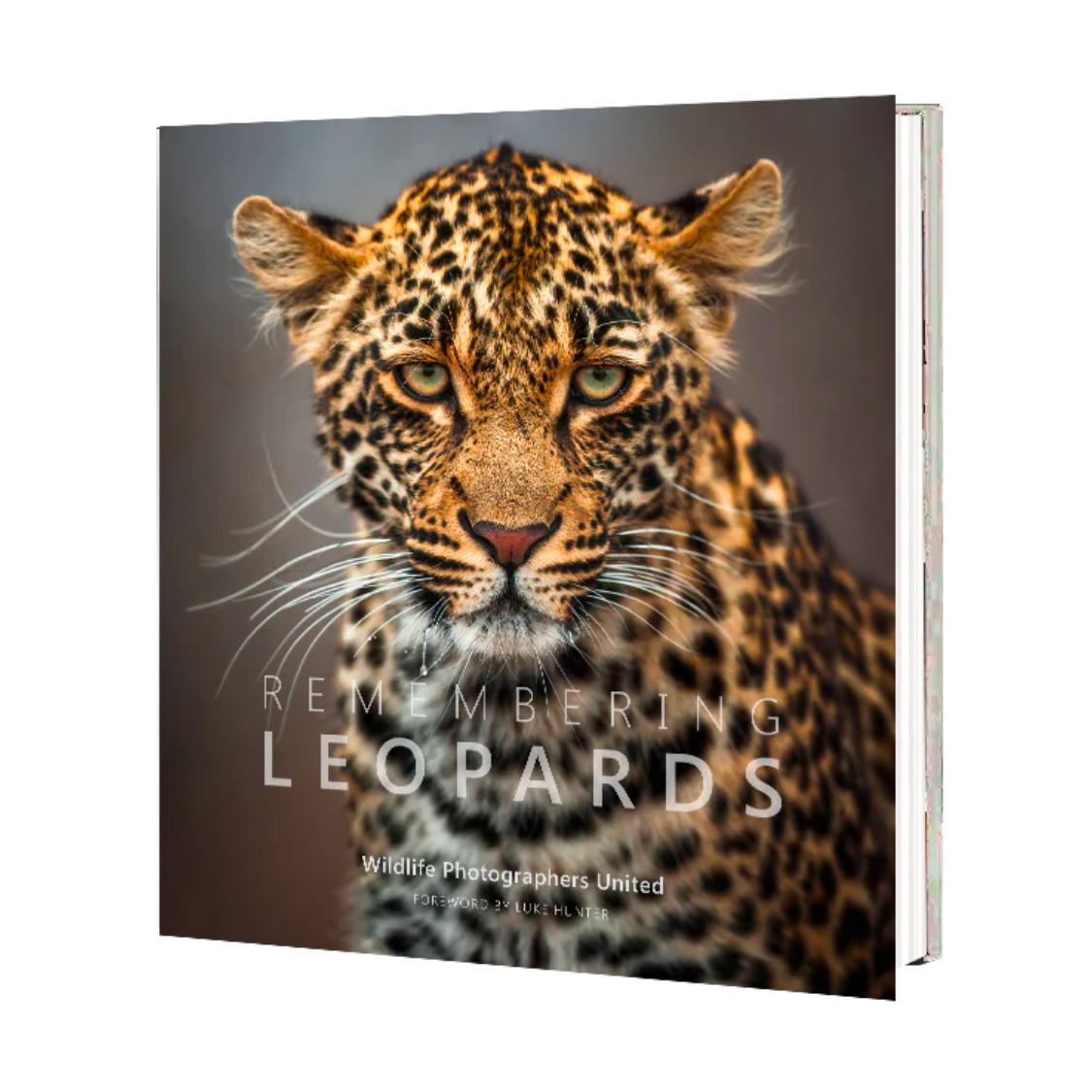Book: Remembering Leopards