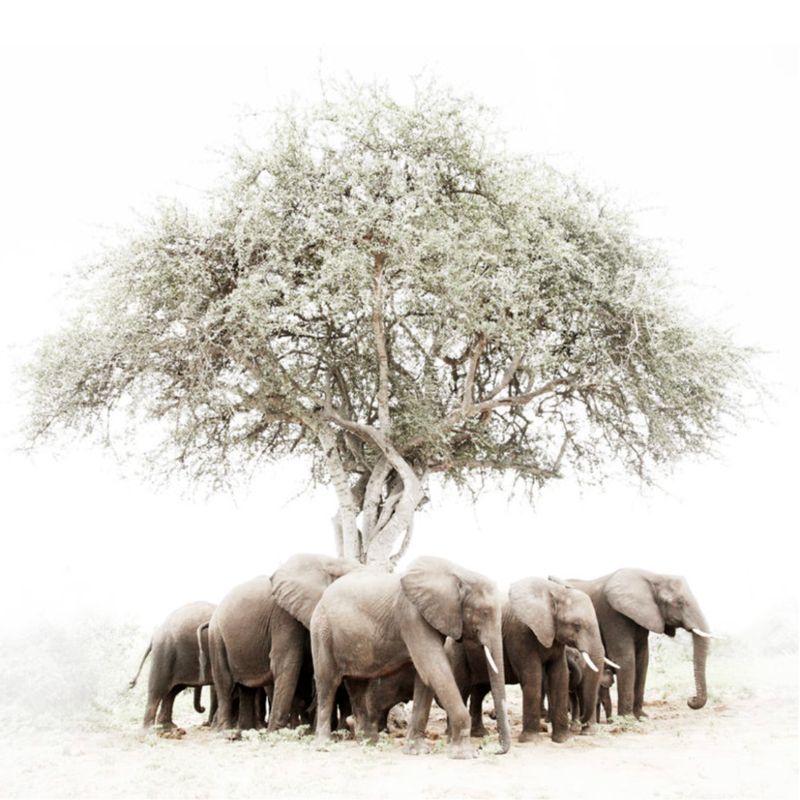 Framed Print: Heaven &amp; Earth