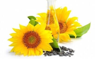Olio di Girasole (Sunflower Oil) 2pc x 10 L