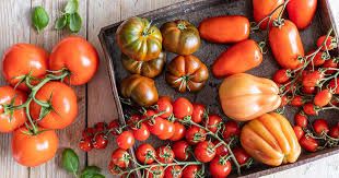 Tomato, Cans & Veggies