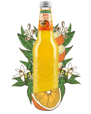 Galvanina Bio blonde orange 12x355 ml