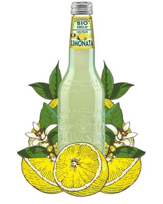 Galvanina Bio lemonade 12x355 ml