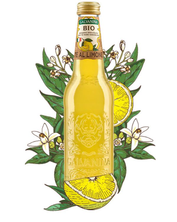 Galvanina Bio Lemon Ice Tea 12x355 ml