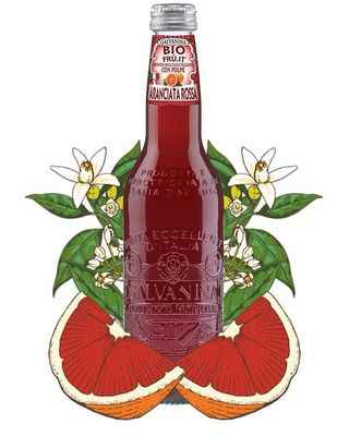 Galvanina Bio blood orange 12x355 ml