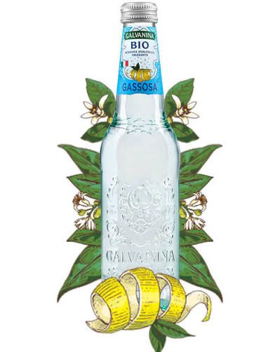 Galvanina Gassosa 12x355 ml