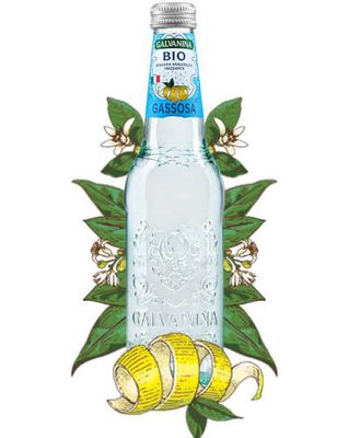 Galvanina Gassosa 12x355 ml