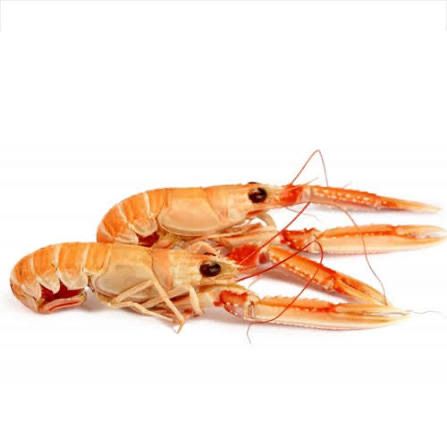 Scampi Langostinos 6kg