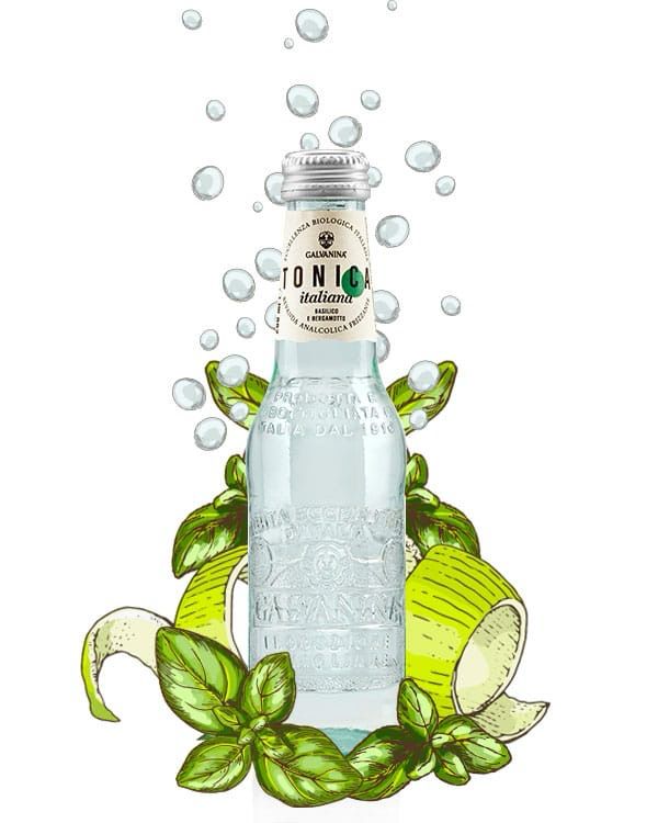 Galvanina Bio Tonic 24x200 ml