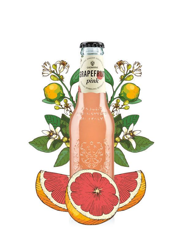 Galvanina Bio Pink Grapefruit 24x200 ml
