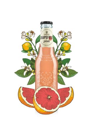Galvanina Bio Pink Grapefruit 24x200 ml