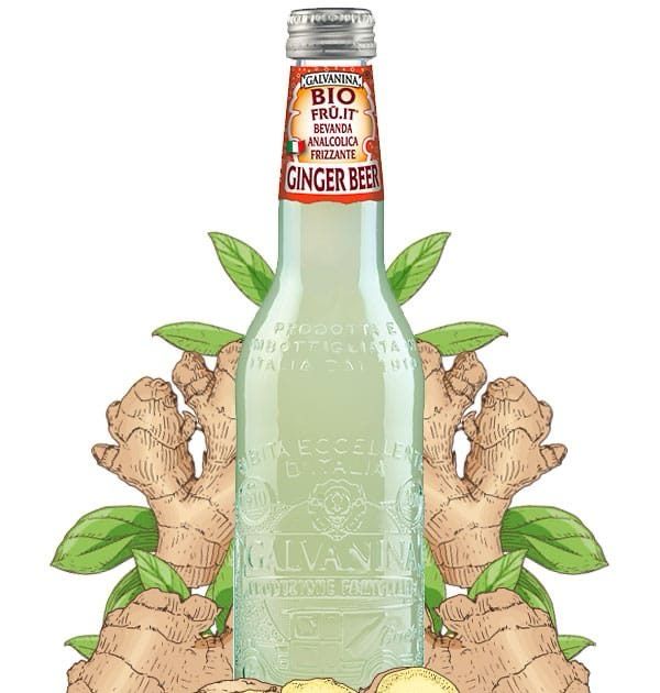 Galvanina Bio Ginger Beer 24x200 ml