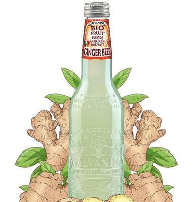 Galvanina Bio Ginger Beer 24x200 ml