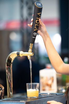 Birra Viola Lager draft [5,6%] 30lt keg