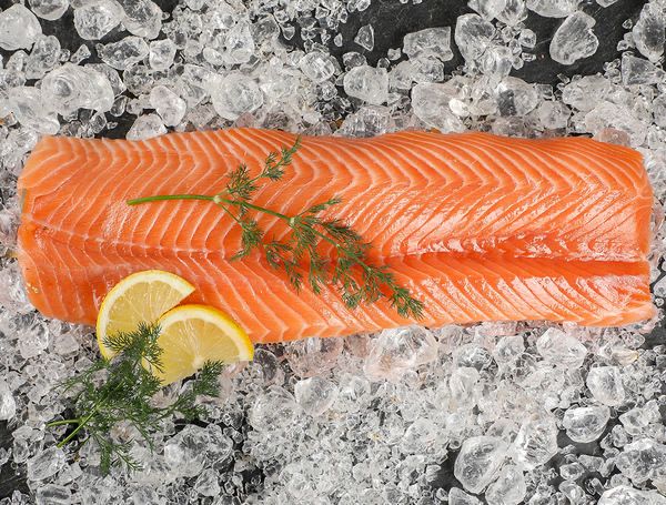 Salmon fillet 800gr Frozen IWP 10kg