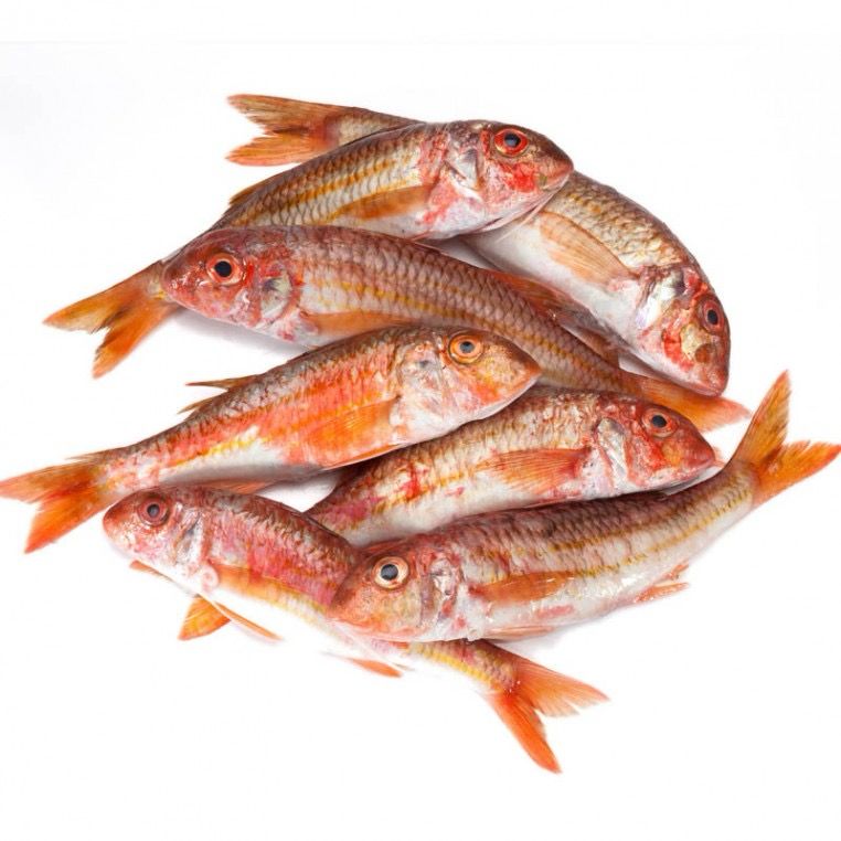 Red mullet (triglie) 80/120 20-25cm IQF Frozen 4kg