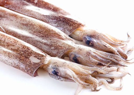 Squid 11cm IQF Frozen 8kg