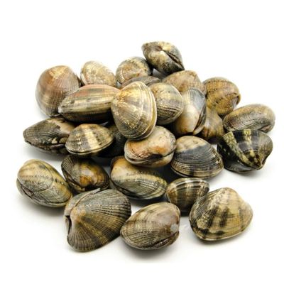 Vongole Veraci (frozen clums) 6x1kg