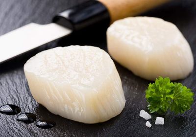 Scallops 8/11 IQF frozen 5kg