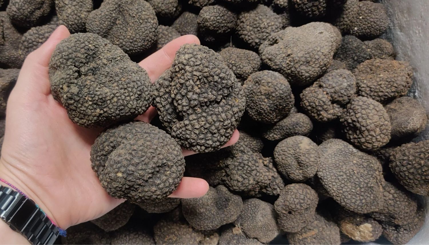 Black summer Truffle (frozen) 500g