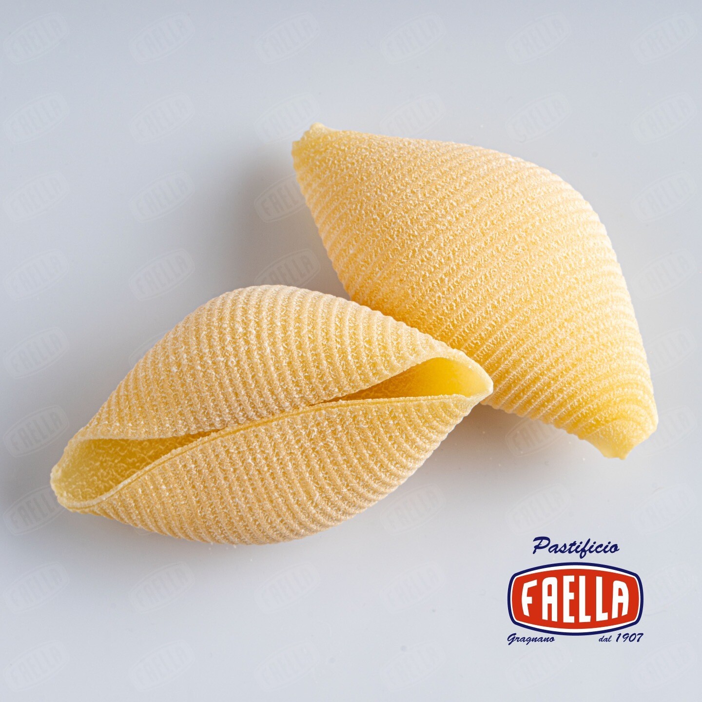 Conchiglioni