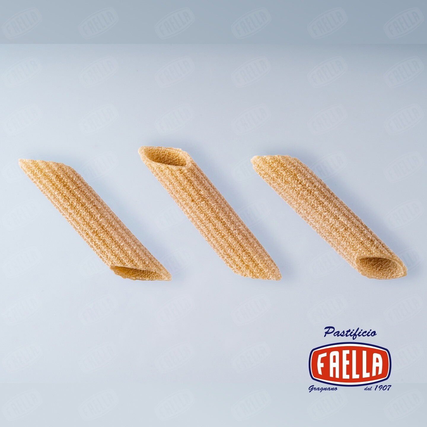 Penne Medie Rigate Integrali